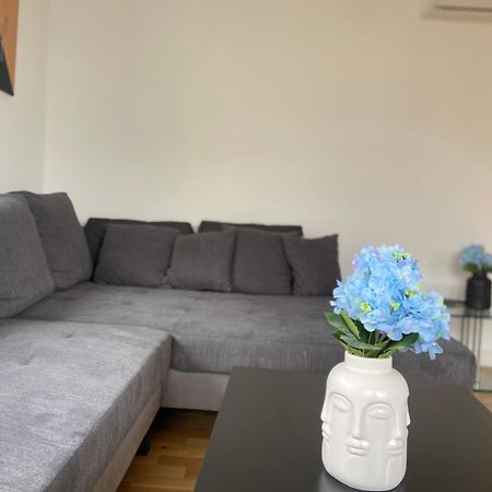 Luxury Apartment With Air Conditioning & Jaccuzzi Near Frankfurt Wiesbaden Hofheim am Taunus Exterior foto